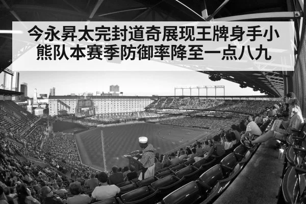 baseball stadium crowd